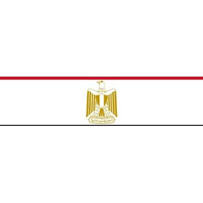 Planete Supporter Drapeau Egypte 150 X 90 cm - Publicité Planete Supporter Drapeau Egypte 150 X 90 cm - Publicité