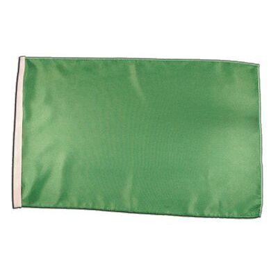 Digni® Drapeau Unicolore Vert 30 x 45 cm - Publicité Digni® Drapeau Unicolore Vert 30 x 45 cm - Publicité
