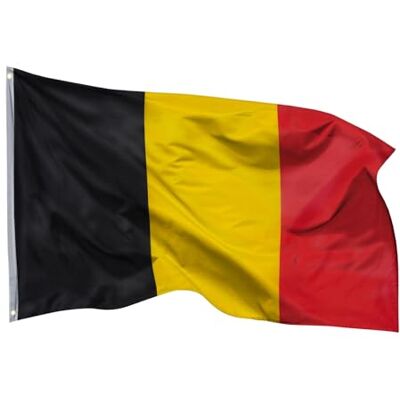 aricona Drapeau Belgique 90x150cm – belge- résistant aux intempéries, avec œillets en laiton, 100% polyester, coutures doubles robustes et couleurs éclatantes – pour les passionnés de drapeaux - Publicité aricona Drapeau Belgique 90x150cm – belge- résistant aux intempéries, avec œillets en laiton, 100% polyester, coutures doubles robustes et couleurs éclatantes – pour les passionnés de drapeaux - Publicité