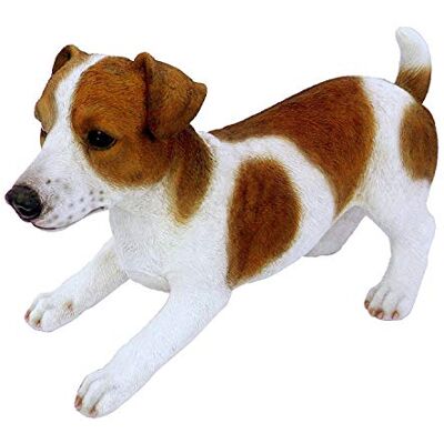 Vivid Arts Real Life Décoration de Jardin Terrier Jack Russel Taille D (M) - Publicité Vivid Arts Real Life Décoration de Jardin Terrier Jack Russel Taille D (M) - Publicité
