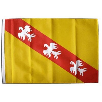 Digni® Drapeau France Lorraine 30 x 45 cm - Publicité Digni® Drapeau France Lorraine 30 x 45 cm - Publicité