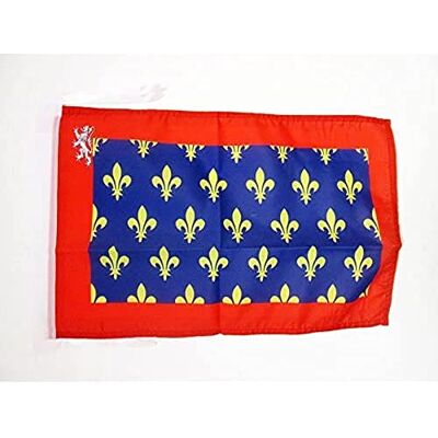 AZ Flag - Comté Du Maine 45x30cm - France - Drapeau - Publicité AZ Flag - Comté Du Maine 45x30cm - France - Drapeau - Publicité