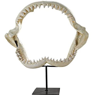 Design Toscano SD1130959 Mâchoire dentelée de requin statue Ivoire 26,5 x 40,5 x 38 cm - Publicité Design Toscano SD1130959 Mâchoire dentelée de requin statue Ivoire 26,5 x 40,5 x 38 cm - Publicité
