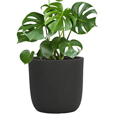 Pflanzwerk ® Pot de Fleur Fibre de Verre Cup Ø42cm Anthracite Jardinière antigel* *Protection UV* *Qualité européenne* - Publicité Pflanzwerk ® Pot de Fleur Fibre de Verre Cup Ø42cm Anthracite Jardinière antigel* *Protection UV* *Qualité européenne* - Publicité