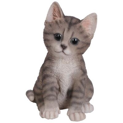 Vivid Arts Pet Pals Chaton tigré - Publicité Vivid Arts Pet Pals Chaton tigré - Publicité