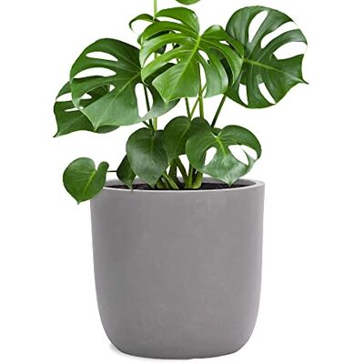 Pflanzwerk ® Pot de Fleur Fibre de Verre Cup Ø27cm Gris Jardinière antigel* *Protection UV* *Qualité européenne* - Publicité Pflanzwerk ® Pot de Fleur Fibre de Verre Cup Ø27cm Gris Jardinière antigel* *Protection UV* *Qualité européenne* - Publicité