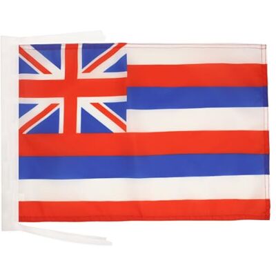 AZ FLAG - Hawaii flag - 45x30cm - USA - flag - Publicité AZ FLAG - Hawaii flag - 45x30cm - USA - flag - Publicité
