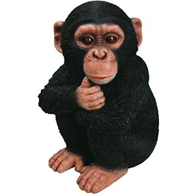 Vivid Arts XRL-CHM2-F Bébé Chimpanzé Ornement en Résine - Publicité Vivid Arts XRL-CHM2-F Bébé Chimpanzé Ornement en Résine - Publicité