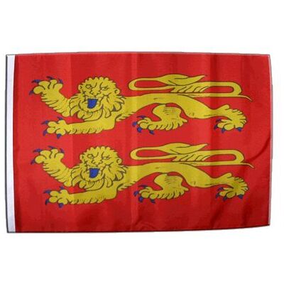 Digni® Drapeau France Basse Normandie, p'tits Cats 30 x 45 cm - Publicité Digni® Drapeau France Basse Normandie, p'tits Cats 30 x 45 cm - Publicité