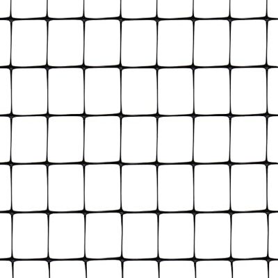TENAX Aviary 2,00 x 10 m Noir, Filets pour Poulailler et Cages, Clôture en Plastique pour Animaux de Cour, Clôtures Agricoles, Filets Anti-Taupes - Publicité TENAX Aviary 2,00 x 10 m Noir, Filets pour Poulailler et Cages, Clôture en Plastique pour Animaux de Cour, Clôtures Agricoles, Filets Anti-Taupes - Publicité