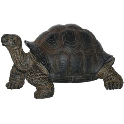 Vivid Arts Pet pal Petite Tortue avec Cage de Transport - Publicité Vivid Arts Pet pal Petite Tortue avec Cage de Transport - Publicité
