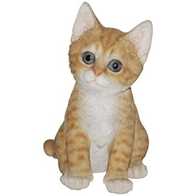 Vivid Arts Pet Pals Chaton Joueur Roux - Publicité Vivid Arts Pet Pals Chaton Joueur Roux - Publicité
