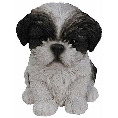 Vivid Arts Pet Pals Shihtzu chiot Noir et Blanc pp-szbk-f - Publicité Vivid Arts Pet Pals Shihtzu chiot Noir et Blanc pp-szbk-f - Publicité