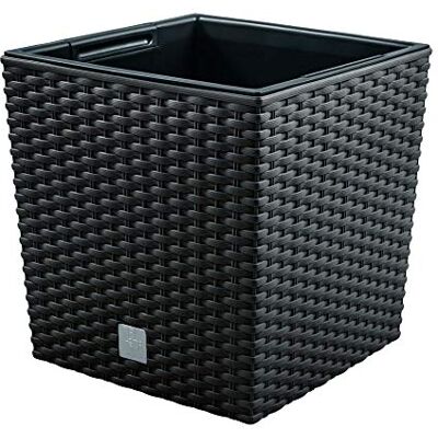 Prosperplast Rato 4 litres avec bac de plantation anthracite 17 x 17 x 17 cm. Publicité Prosperplast Rato 4 litres avec bac de plantation anthracite 17 x 17 x 17 cm. Publicité