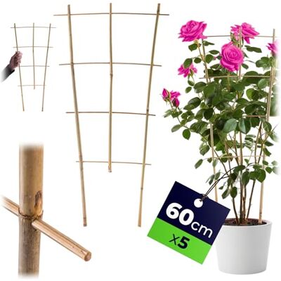 KADAX Lot de 5 échelles en bambou Échelle de soutien pour fleurs, support de plantes de jardin en bambou Treillis treillis en forme de V Aide à grimper (h : 60 cm, triples) - Publicité KADAX Lot de 5 échelles en bambou Échelle de soutien pour fleurs, support de plantes de jardin en bambou Treillis treillis en forme de V Aide à grimper (h : 60 cm, triples) - Publicité