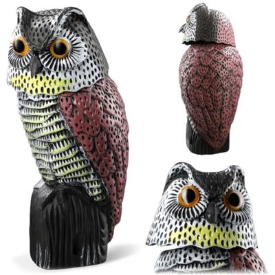 KADAX Chouette avec tête mobile, épouvantail en plastique, épouvantail à pigeons avec tête mobile, épouvantail, décoration de jardin, chouette réaliste pour jardin (37 cm) - Publicité KADAX Chouette avec tête mobile, épouvantail en plastique, épouvantail à pigeons avec tête mobile, épouvantail, décoration de jardin, chouette réaliste pour jardin (37 cm) - Publicité