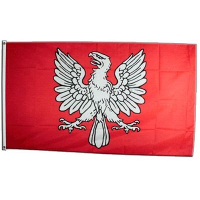 Digni® Drapeau France Tarentaise 90 x 150 cm - Publicité Digni® Drapeau France Tarentaise 90 x 150 cm - Publicité