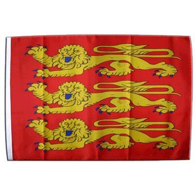 Digni® Drapeau France Haute Normandie, treis Cats 30 x 45 cm - Publicité Digni® Drapeau France Haute Normandie, treis Cats 30 x 45 cm - Publicité