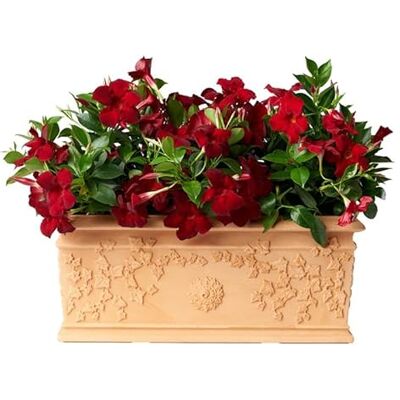bama 35399 Pot de Fleurs Terre Cuite 100 cm - Publicité bama 35399 Pot de Fleurs Terre Cuite 100 cm - Publicité