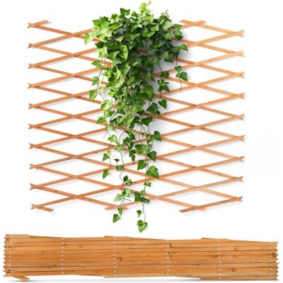 bellissa Treillis en bois – Grille à ciseaux extensible – Tuteur flexible et treillis – 310 x 90 cm – Brise-vue pour balcon et jardin – Grille en bois solide pour montage mural pour plantes - Publicité bellissa Treillis en bois – Grille à ciseaux extensible – Tuteur flexible et treillis – 310 x 90 cm – Brise-vue pour balcon et jardin – Grille en bois solide pour montage mural pour plantes - Publicité