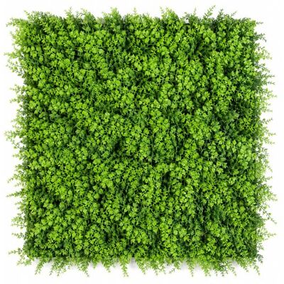 TENAX Divy 3D Panel Fern 0,50 x 1 m Vert, Panneau Modulaire en Feuilles de Fougère Artificielles pour Décoration Murale et Jardin Vertical - Publicité TENAX Divy 3D Panel Fern 0,50 x 1 m Vert, Panneau Modulaire en Feuilles de Fougère Artificielles pour Décoration Murale et Jardin Vertical - Publicité