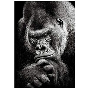 juntop Toile Peinture Moderne Noir Gorille Image Nordique Animaux Affiches et Impressions Singe Mur Photos pour La Décoration Intérieure 40x50 cm / 15,7"x 19,7" Sans Cadre - Publicité juntop Toile Peinture Moderne Noir Gorille Image Nordique Animaux Affiches et Impressions Singe Mur Photos pour La Décoration Intérieure 40x50 cm / 15,7"x 19,7" Sans Cadre - Publicité