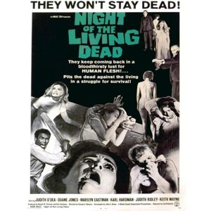 onthewall Night of The Living Dead Movie Poster Art Print 40 x 30 cm (Msp0005) - Publicité onthewall Night of The Living Dead Movie Poster Art Print 40 x 30 cm (Msp0005) - Publicité