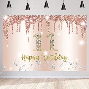 Tecreo Bannière décorative 11e anniversaire fille or rose tissu panneau affiche 11e anniversaire fond bannière fille fête d'anniversaire décoration - Publicité Tecreo Bannière décorative 11e anniversaire fille or rose tissu panneau affiche 11e anniversaire fond bannière fille fête d'anniversaire décoration - Publicité