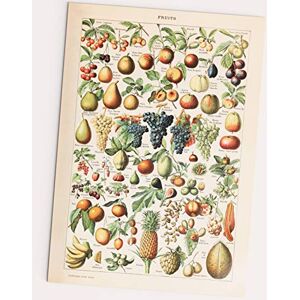 Follygraph Fruits Affiche, Vintage Poster, Adolphe Millot 1909 reprint (A2) - Publicité Follygraph Fruits Affiche, Vintage Poster, Adolphe Millot 1909 reprint (A2) - Publicité