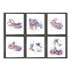 Ling88 Tableau Decoration Murale , Oreille Interne Anatomie Impression Affiche Audiologiste Cadeau Audition Médecin Cadeau Clinique Décoration Murale Art Médical Décoration De Bureau De Médecin 30X40Cmx6 - Publicité Ling88 Tableau Decoration Murale , Oreille Interne Anatomie Impression Affiche Audiologiste Cadeau Audition Médecin Cadeau Clinique Décoration Murale Art Médical Décoration De Bureau De Médecin 30X40Cmx6 - Publicité