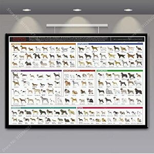 Ling88 Tableau Decoration Murale Salon,Anatomie du Teckel Graphique Diagramme Chiens Races Graphique Affiche Impression Toile Photos Maison Peintures Mur Art Salon Décor 30X40Cm - Publicité Ling88 Tableau Decoration Murale Salon,Anatomie du Teckel Graphique Diagramme Chiens Races Graphique Affiche Impression Toile Photos Maison Peintures Mur Art Salon Décor 30X40Cm - Publicité