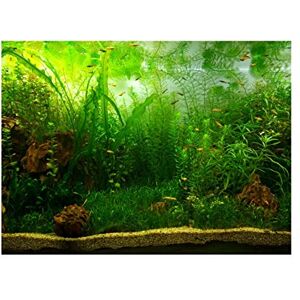FILFEEL Aquarium Fond Fish Tank Décorations Photos PVC Adhésif Affiche Eau Herbe Style Toile de Fond Décoration Papier Coller Stickers Autocollant(122 * 46cm) - Publicité FILFEEL Aquarium Fond Fish Tank Décorations Photos PVC Adhésif Affiche Eau Herbe Style Toile de Fond Décoration Papier Coller Stickers Autocollant(122 * 46cm) - Publicité