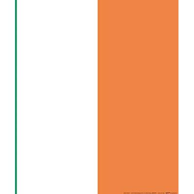 1art1 Irlande Poster Drapeaux du Monde Affiche Murale 50x40 cm - Publicité 1art1 Irlande Poster Drapeaux du Monde Affiche Murale 50x40 cm - Publicité