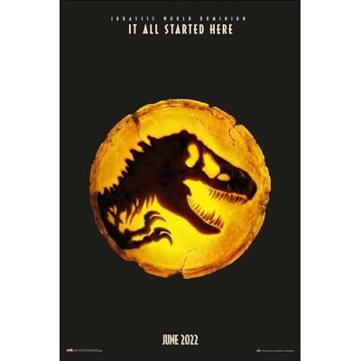 Grupo Erik Poster Jurassic World Dominion Deco Maison 61x91,5 cm Grand Format Decoration Murale, Affiche Décorative, Affiche de Film - Publicité Grupo Erik Poster Jurassic World Dominion Deco Maison 61x91,5 cm Grand Format Decoration Murale, Affiche Décorative, Affiche de Film - Publicité