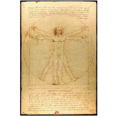 Grupo Erik : Poster L'Homme Vitruviano de Leonardo Art Classique Mural, 61 x 91,5 cm, Papier Brillant et Encadré, Homme de Vitruve - Publicité Grupo Erik : Poster L'Homme Vitruviano de Leonardo Art Classique Mural, 61 x 91,5 cm, Papier Brillant et Encadré, Homme de Vitruve - Publicité