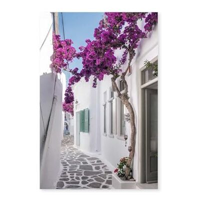 Hexoa Tableau bougainvilliers Paros Made in France Toile imprimée 30x45 - Publicité Hexoa Tableau bougainvilliers Paros Made in France Toile imprimée 30x45 - Publicité