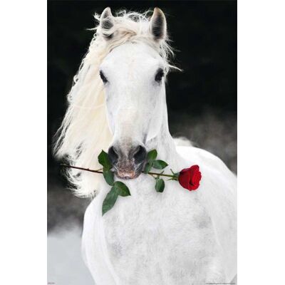 empireposter Cheval Rose Poster avec Accessoires (2 bâtons en Plastique Transparent, Longueur : 62 cm), 2 Barres Noires, 24-inches x 36-inches - Publicité empireposter Cheval Rose Poster avec Accessoires (2 bâtons en Plastique Transparent, Longueur : 62 cm), 2 Barres Noires, 24-inches x 36-inches - Publicité