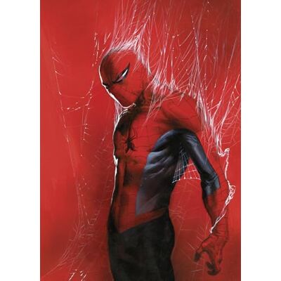 Komar Marvel Spider-Man Through the Spider Web Tableau mural Taille 50 x 70 cm Décoration murale pour chambre d'enfant - Publicité Komar Marvel Spider-Man Through the Spider Web Tableau mural Taille 50 x 70 cm Décoration murale pour chambre d'enfant - Publicité