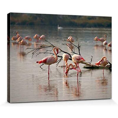 1art1 Flamants Poster Impression sur Toile Flamants Roses dans Un Étang en Camargue Affiche Murale XXL Encadrée Tendue sur Cadre en Bois Tableau 40x30 cm - Publicité 1art1 Flamants Poster Impression sur Toile Flamants Roses dans Un Étang en Camargue Affiche Murale XXL Encadrée Tendue sur Cadre en Bois Tableau 40x30 cm - Publicité