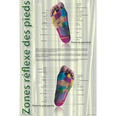 1art1 Réflexologie Poster Zones De Réflexe des Pieds Affiche Murale 91x61 cm - Publicité 1art1 Réflexologie Poster Zones De Réflexe des Pieds Affiche Murale 91x61 cm - Publicité