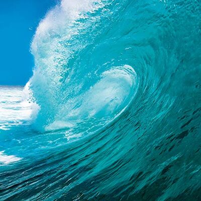 1art1 L'Océan Poster La Vague Parfaite Affiche Reproduction 70x70 cm - Publicité 1art1 L'Océan Poster La Vague Parfaite Affiche Reproduction 70x70 cm - Publicité