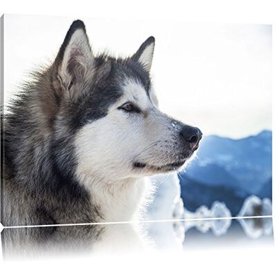 Pixxprint Husky douce dans la neige Format: toile 120x80auf, XXL énormes Photos complètement encadrés par la civière, l'impression de l'image Art mural avec cadre, moins cher que peintures à l'huile et de l'image, aucune affiche ou poster - Publicité Pixxprint Husky douce dans la neige Format: toile 120x80auf, XXL énormes Photos complètement encadrés par la civière, l'impression de l'image Art mural avec cadre, moins cher que peintures à l'huile et de l'image, aucune affiche ou poster - Publicité