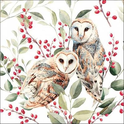 Ambiente Lot de 20 serviettes en papier avec motifs animaux chouettes sur plantes et feuilles vertes Pour décoration de table Convient également pour le découpage et la technique des serviettes 33 x 33 cm - Publicité Ambiente Lot de 20 serviettes en papier avec motifs animaux chouettes sur plantes et feuilles vertes Pour décoration de table Convient également pour le découpage et la technique des serviettes 33 x 33 cm - Publicité