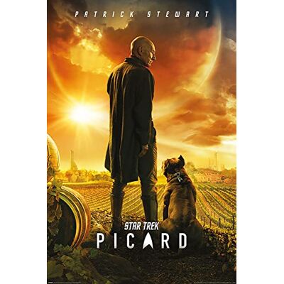 empireposter Empire Poster Star Trek Picard Number One + Accessoires de Fixation - Publicité empireposter Empire Poster Star Trek Picard Number One + Accessoires de Fixation - Publicité