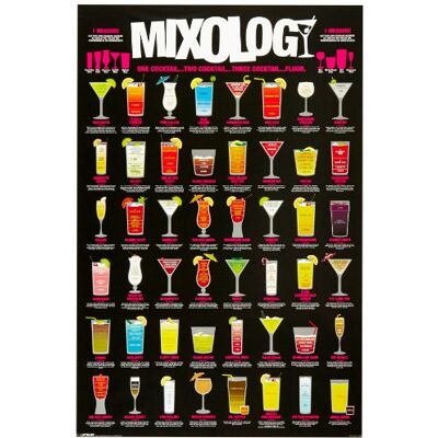 1art1 49075 Poster Cocktails Mixology 91 X 61 cm - Publicité 1art1 49075 Poster Cocktails Mixology 91 X 61 cm - Publicité