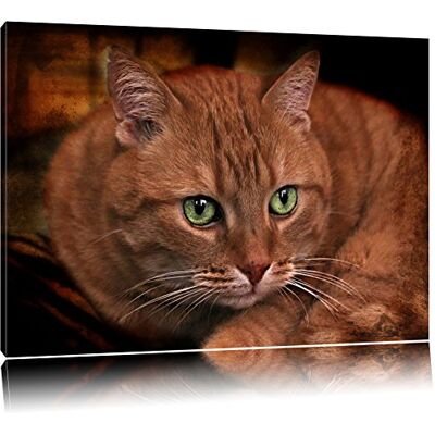 Pixxprint belle maison chat Toile, XXL photos complètement encadrée avec de grandes images de coin, art impression sur la photo murale avec cadre, moins cher que la peinture ou une peinture à l'huile, pas une affiche ou bannière - Publicité Pixxprint belle maison chat Toile, XXL photos complètement encadrée avec de grandes images de coin, art impression sur la photo murale avec cadre, moins cher que la peinture ou une peinture à l'huile, pas une affiche ou bannière - Publicité