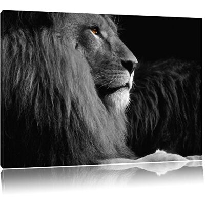 Pixxprint Dark belle fiers Leo noir / blanc Format: 120x80auf toile, d'énormes photos XXL complètement encadrée avec civière, art impression sur murale avec cadre, moins cher que la peinture ou la peinture à l'huile, aucune affiche ou un poster - Publicité Pixxprint Dark belle fiers Leo noir / blanc Format: 120x80auf toile, d'énormes photos XXL complètement encadrée avec civière, art impression sur murale avec cadre, moins cher que la peinture ou la peinture à l'huile, aucune affiche ou un poster - Publicité