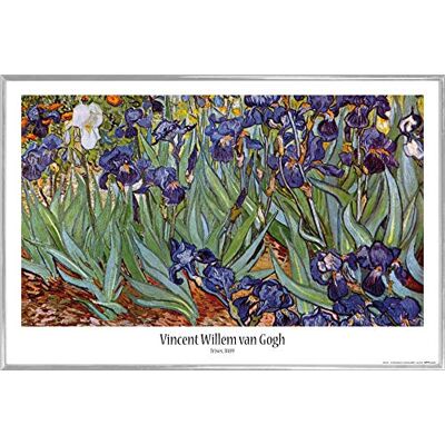 1art1 Vincent Van Gogh Affiche Murale et Cadre (Plastique) Les Iris,1889 (91 x 61cm) - Publicité 1art1 Vincent Van Gogh Affiche Murale et Cadre (Plastique) Les Iris,1889 (91 x 61cm) - Publicité