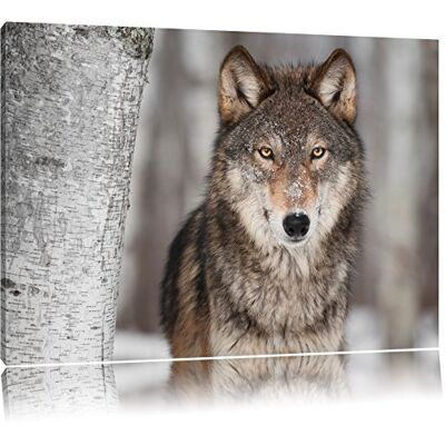 Pixxprint Vigilant Loup Format: toile 100x70auf, XXL énormes Photos complètement encadrés par la civière, l'impression de l'image Art mural avec cadre, moins cher que peintures à l'huile et de l'image, aucune affiche ou poster - Publicité Pixxprint Vigilant Loup Format: toile 100x70auf, XXL énormes Photos complètement encadrés par la civière, l'impression de l'image Art mural avec cadre, moins cher que peintures à l'huile et de l'image, aucune affiche ou poster - Publicité