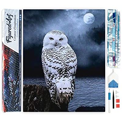 Figured ART BÍLÁ SOVA - 40x50 cm - Kit de diamant peintre - Publicité Figured ART BÍLÁ SOVA - 40x50 cm - Kit de diamant peintre - Publicité
